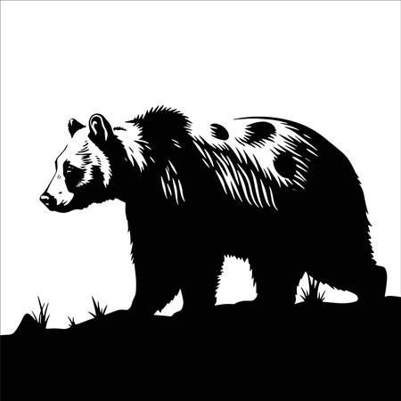 Grizzly bear in black and white. Vector illustration.のイラスト素材