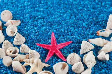 Star-fish and seashells on sand, centered, simetric