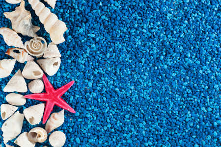 Star-fish and seashells on blue sandの写真素材