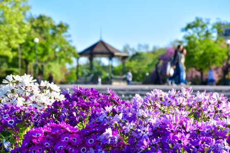 Kerkyra central parkの写真素材