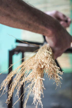Broom making tradition in saxon village of Altana, Sibiu, Romaniaの写真素材