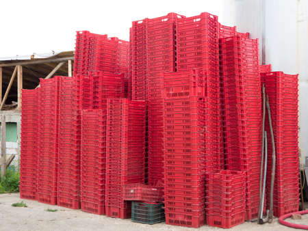 Vineyard harvest boxesの写真素材