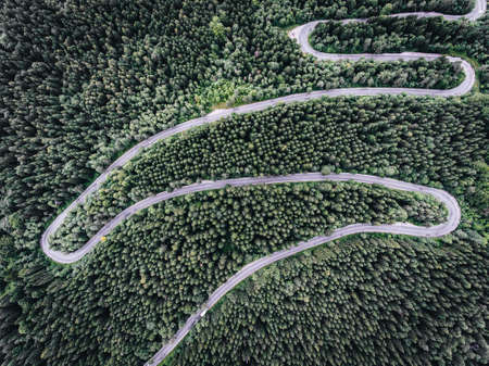 Winding road in the forest seen from above