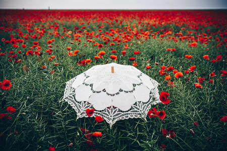 Umbrella in poppies field. Artistic interpretation.の写真素材
