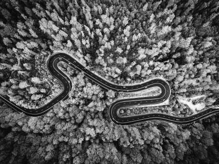 Aerial drone view of a curved winding road through the forest. Black and white versionの写真素材