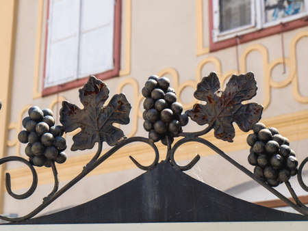 Medias, Romania - June 2017: Medias city symbol: the grapes. Transylvania, Romaniaの写真素材