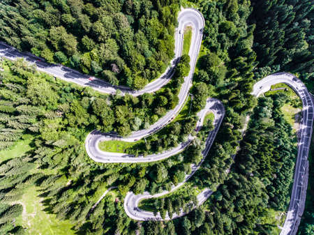 Aerial view of a winding forest road