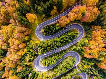 Winding Road surrounded by a colourfull trees in the forestの写真素材