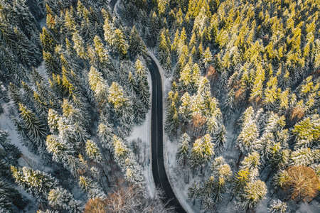 Winter road and trees covered in snow high up in the mountainsの写真素材