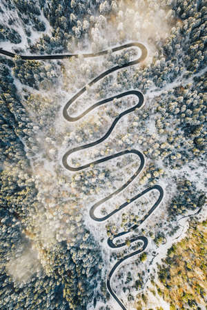 Drone view of a winding road in the middle of the forestの写真素材