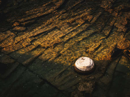 Ancient column from the old marble port at Aliki, Thasos, detail in sunrise lightの写真素材