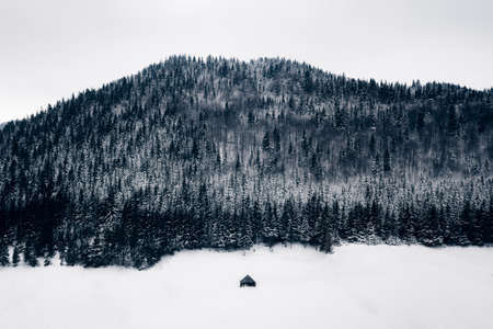 Heavy snowfall mountain and forest and an abandoned sheepfold and barnの写真素材