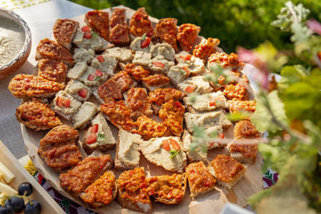 Mashed vegetables paste on hommade bread from local bio vegetables by the traditional farmers in Romaniaの写真素材