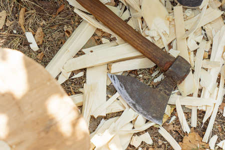 Axe and wood on cuttings left from tool makingの写真素材