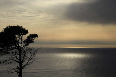 Mallorca coastの写真素材