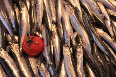 Fish on a Turkey Marketの写真素材