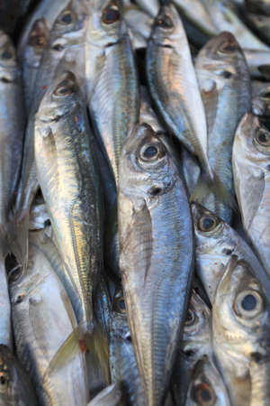 Fish on a Turkey Marketの写真素材