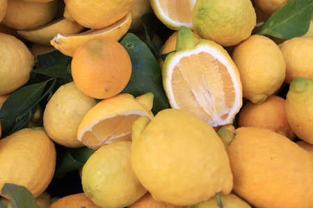 Market in Turkeyの写真素材