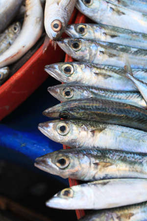 Fish on a Turkey Marketの写真素材