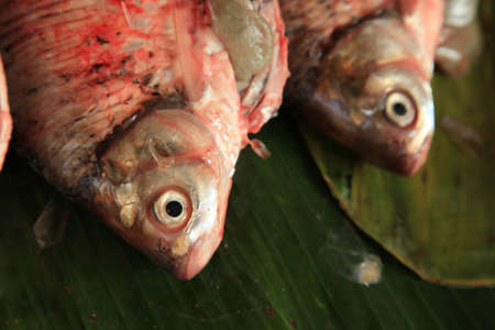 Thai Market