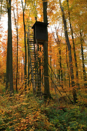 Autumn in Germanyの写真素材