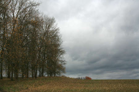 Autumn in Germanyの写真素材