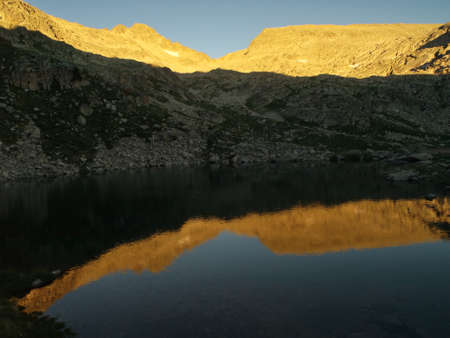 Pyreneesの写真素材