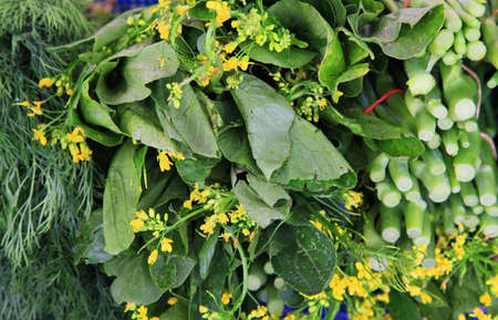 Thai Marketの写真素材