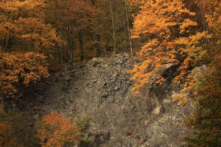 Autumn in Germanyの写真素材