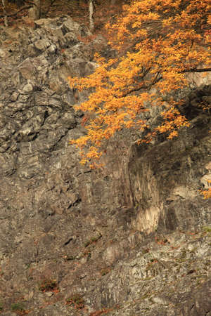 Autumn in Germanyの写真素材
