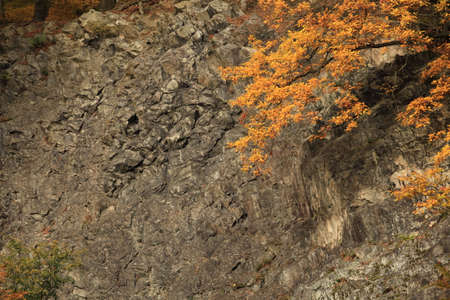Autumn in Germanyの写真素材