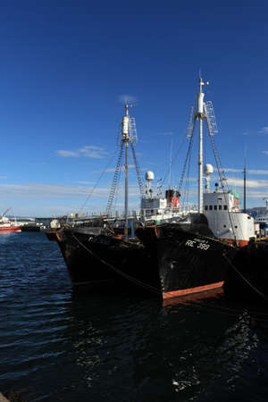 Reykjavikのeditorial素材