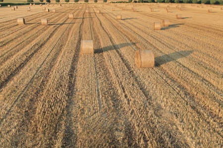 Autumn Fieldの写真素材