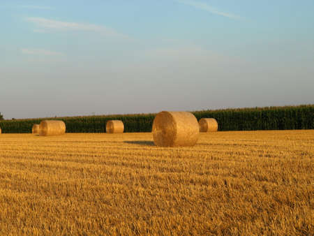 Autumn Field Germanyの写真素材