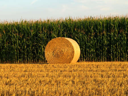 Autumn Field Germanyの写真素材