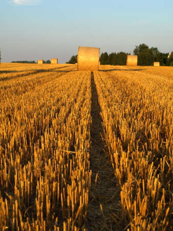 Autumn Field Germanyの写真素材