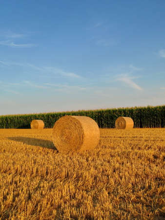 Autumn Field Germanyの写真素材
