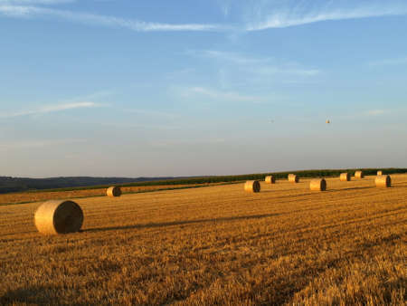Autumn Field Germanyの写真素材