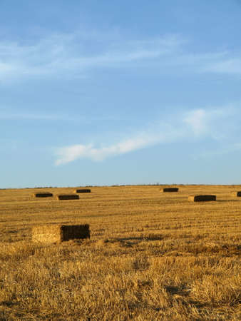 Autumn Field Germanyの写真素材