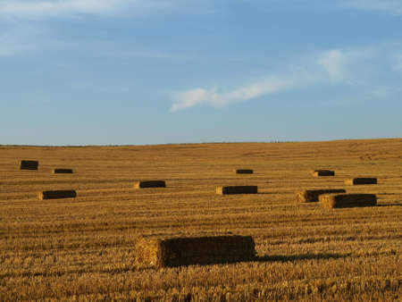 Autumn Field Germanyの写真素材
