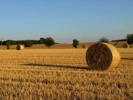 Autumn Field Germany