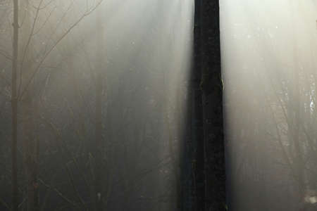 Winter Season Germanyの写真素材