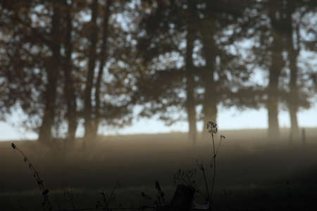 Winter Season Germanyの写真素材