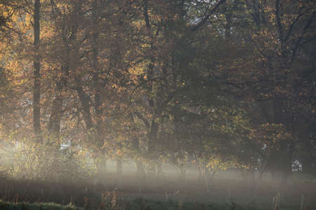 Winter Season Germanyの写真素材