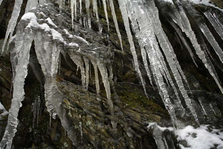 Winterの写真素材