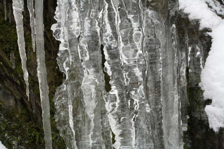 Winterの写真素材