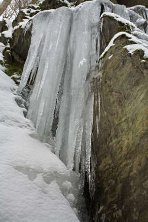 Winterの写真素材