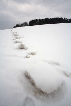 Winterの写真素材