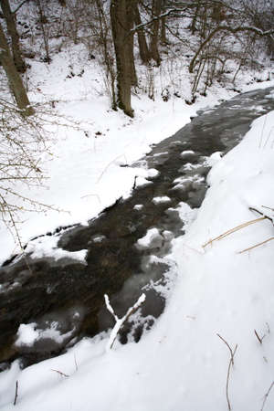 Winterの写真素材
