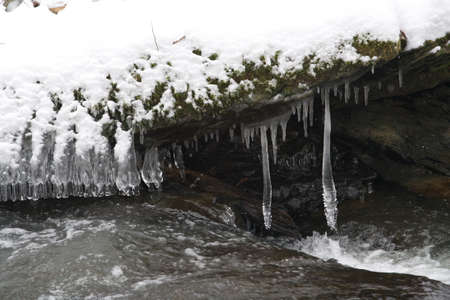 Winterの写真素材